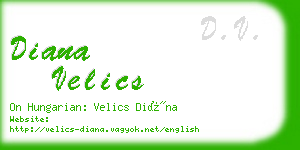 diana velics business card